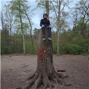 Schüler der Mathe unterrichten will Jahre alt